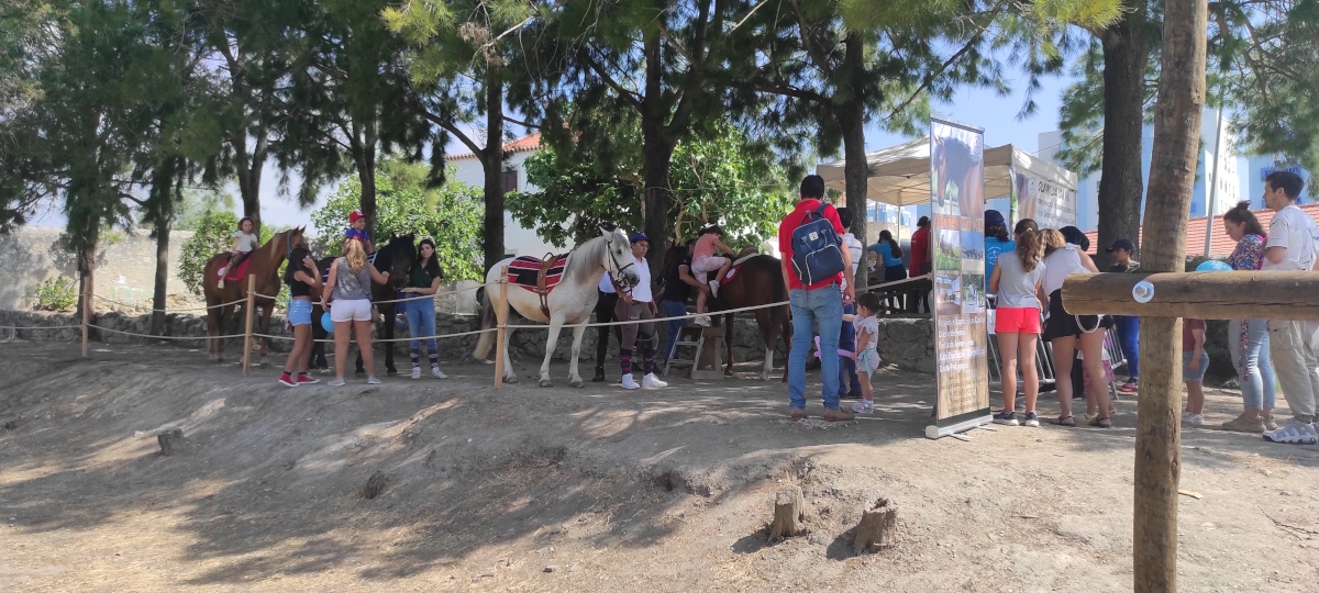 Dia Mundial da Criança