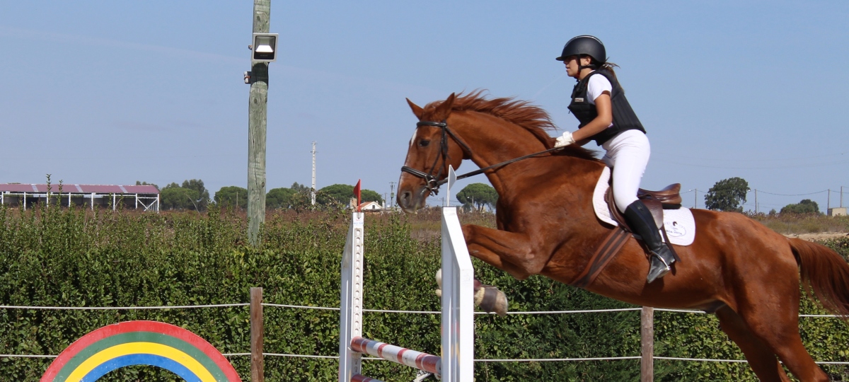 Prova de obstáculos